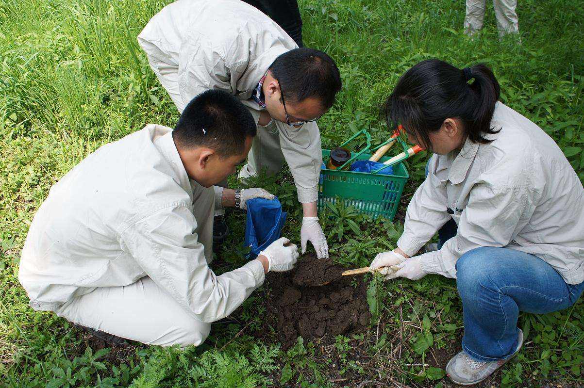 土壤污染樣品 土壤污染樣品