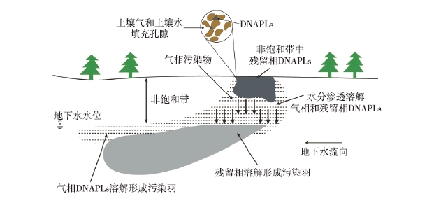 DNAPLs泄漏至地表后,受到重力作用向下遷移 DNAPLs泄漏至地表后,受到重力作用向下遷移